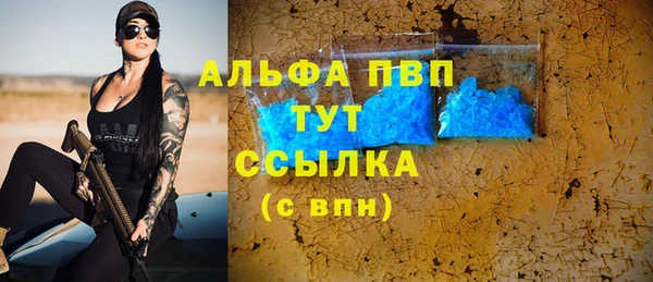 apvp Алзамай